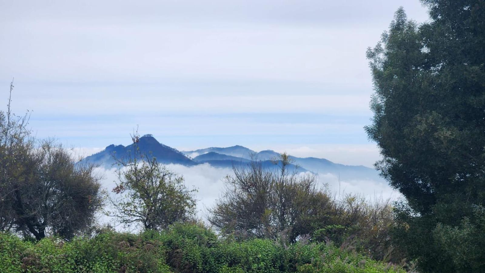 Fabhotel Tranquil Heights Kodaikanal Exteriér fotografie