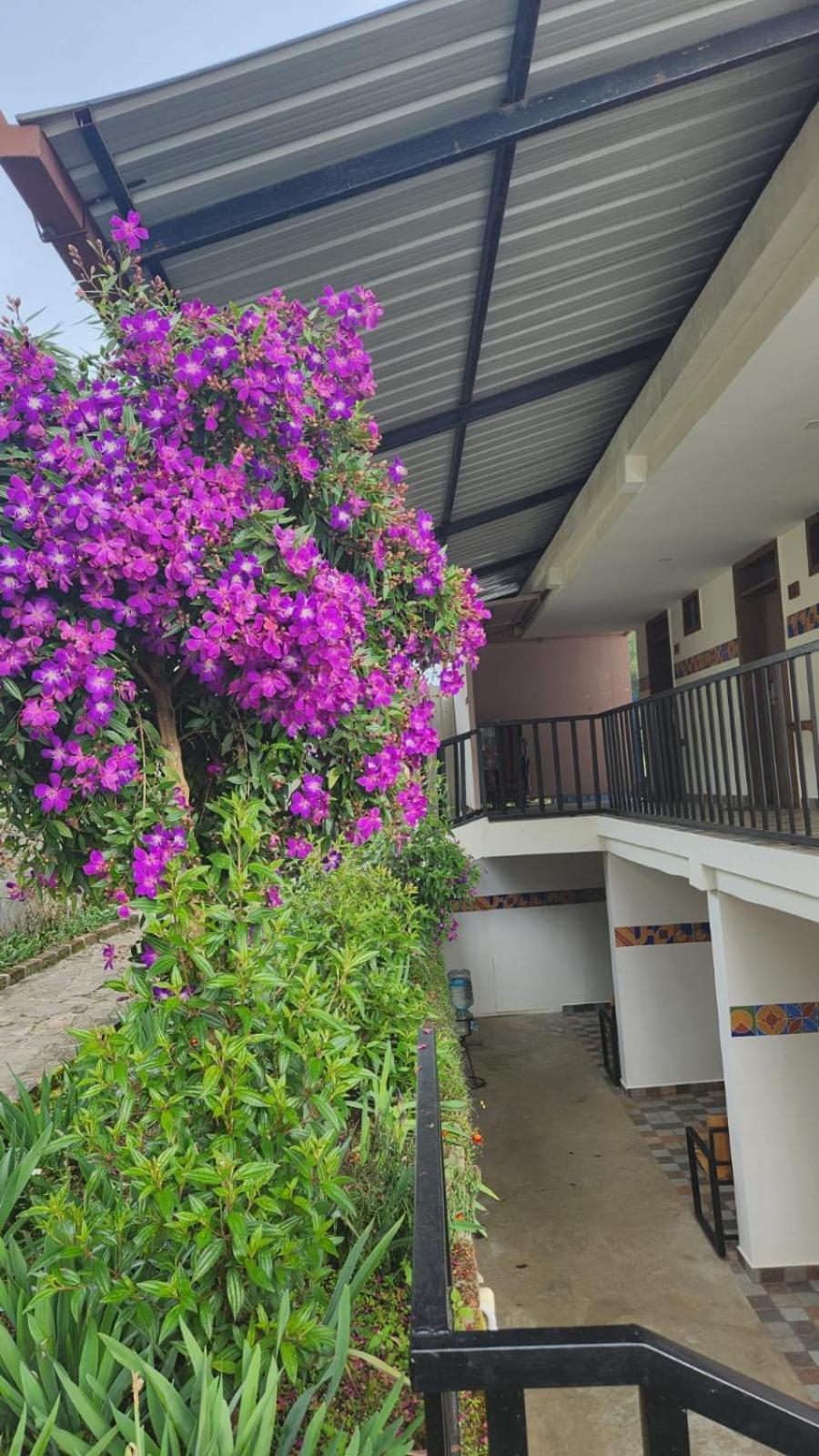 Fabhotel Tranquil Heights Kodaikanal Exteriér fotografie